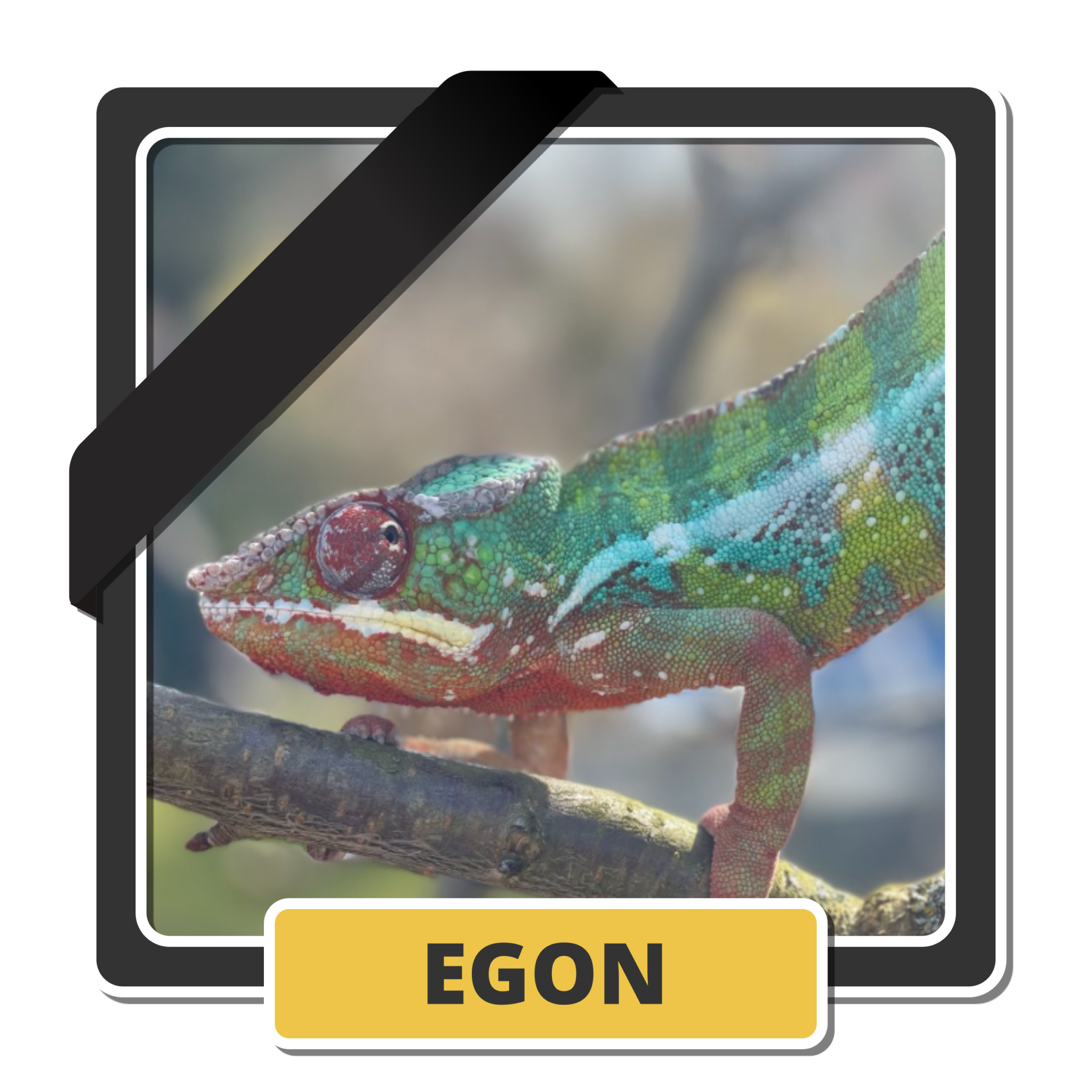 Egon 1