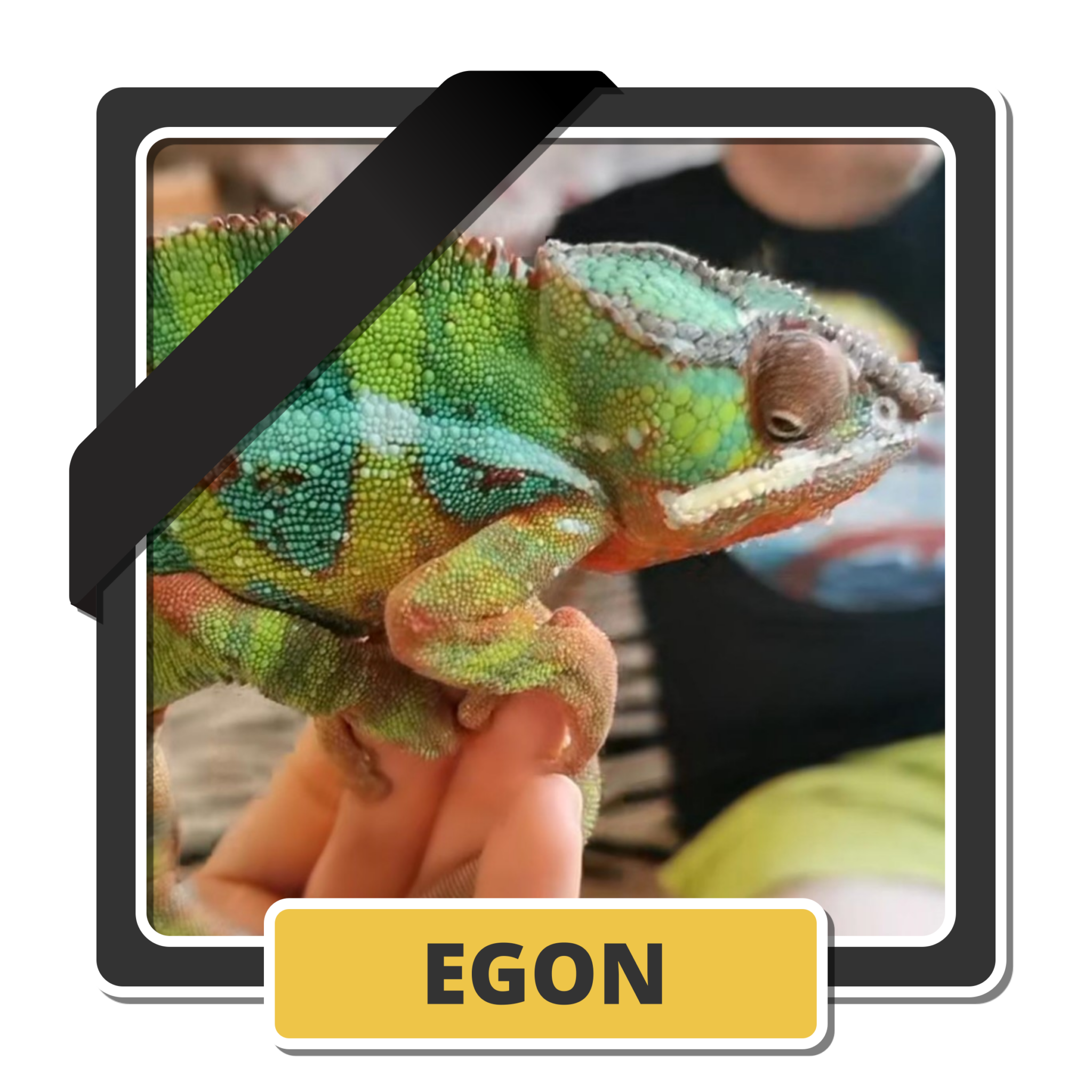 Egon 2