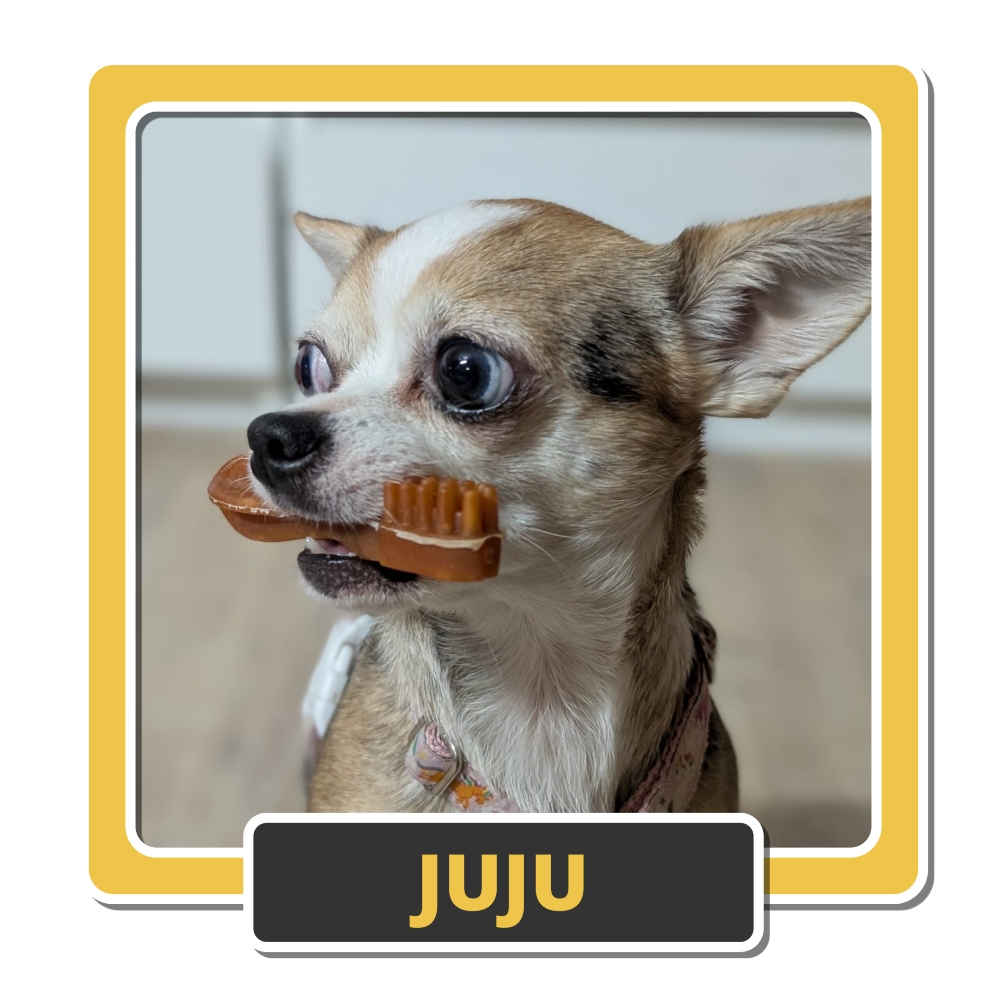 Juju 9
