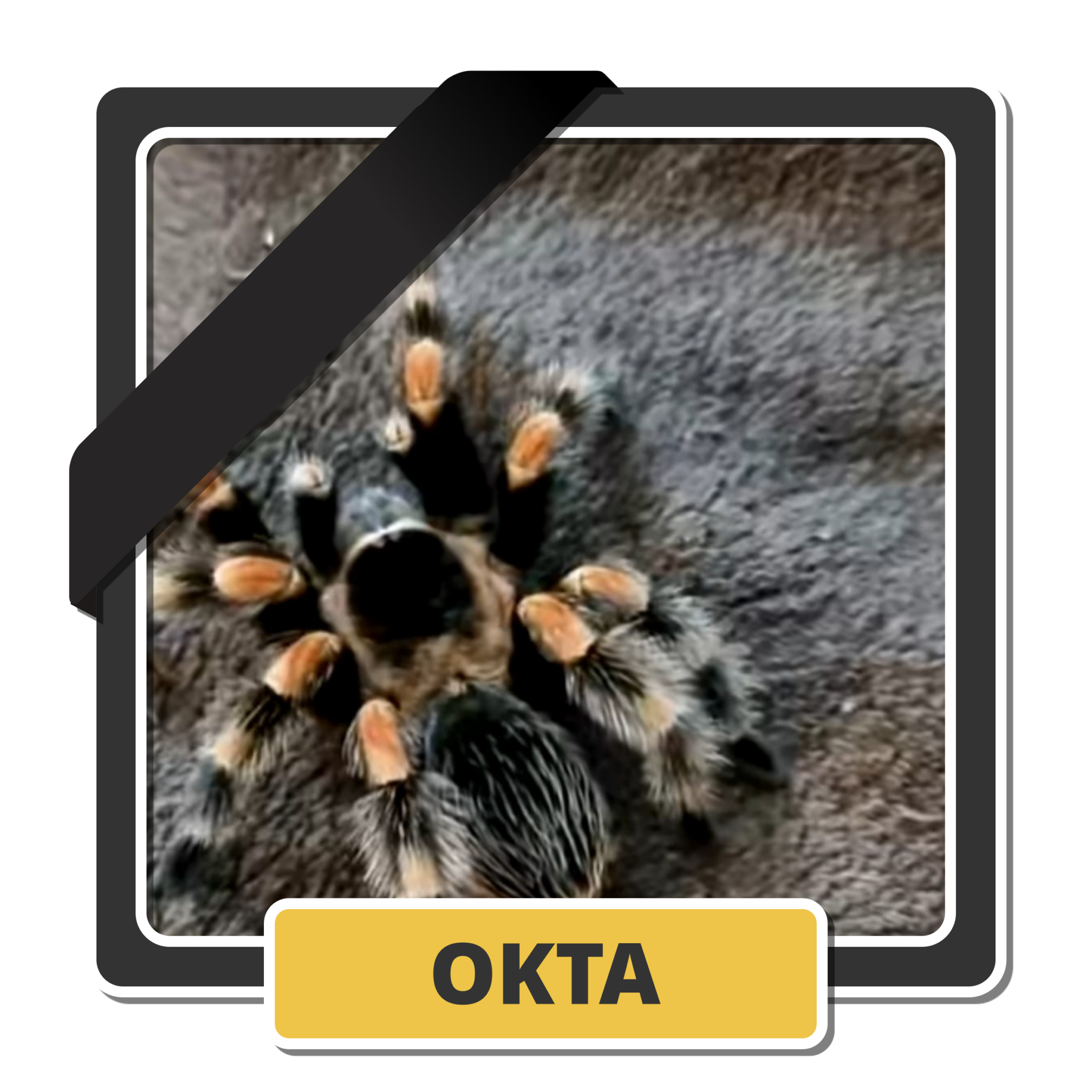 Okta 1