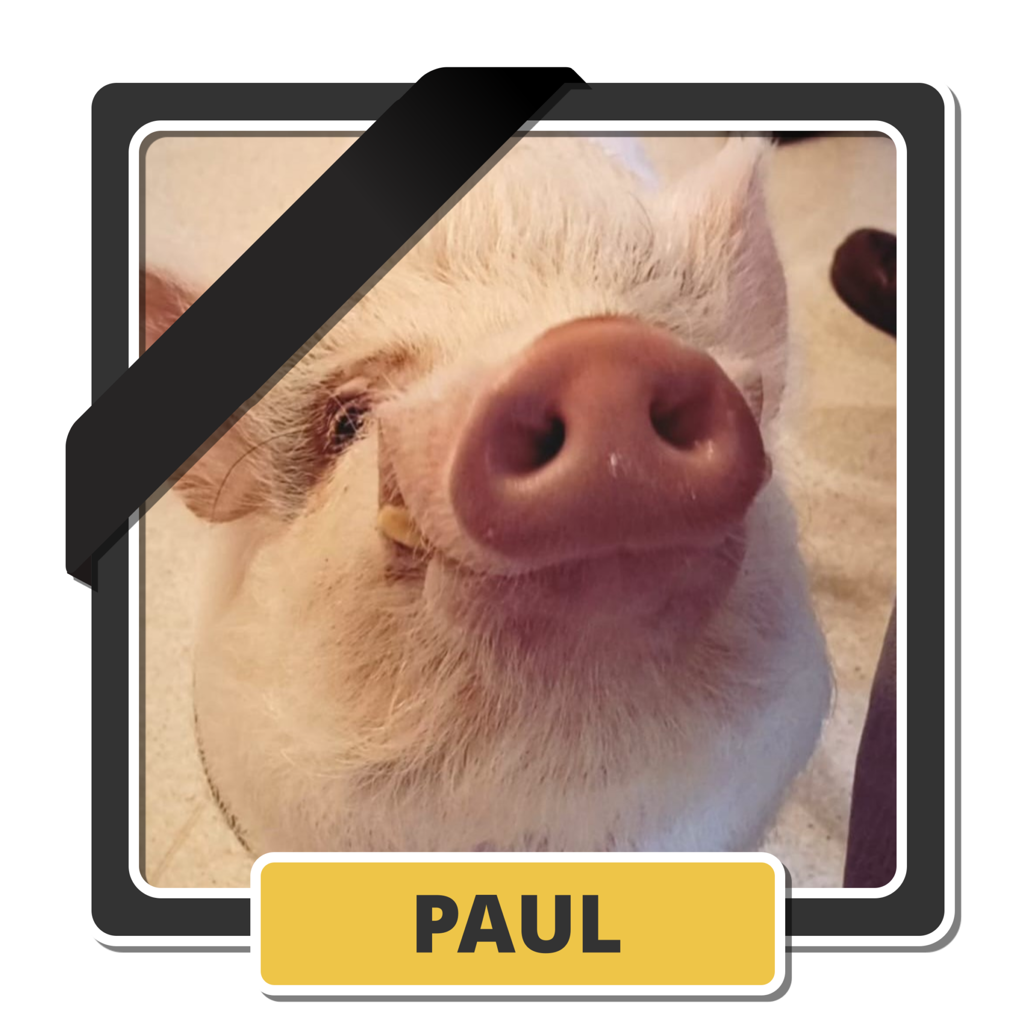 Paul 1